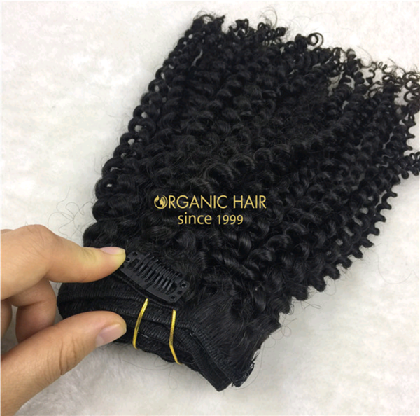 Wholesale curly clip in hair extensions X13